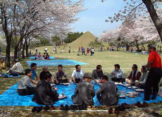 Photographic image of a hanami celebration in Suizenji Park in Kumamoto, Japan